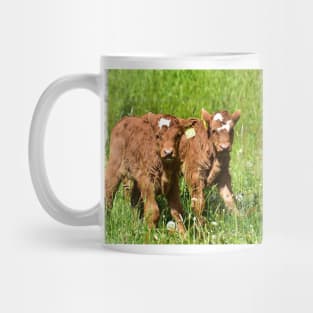 Twins Mug